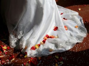 wedding petals