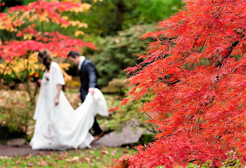 autumn wedding