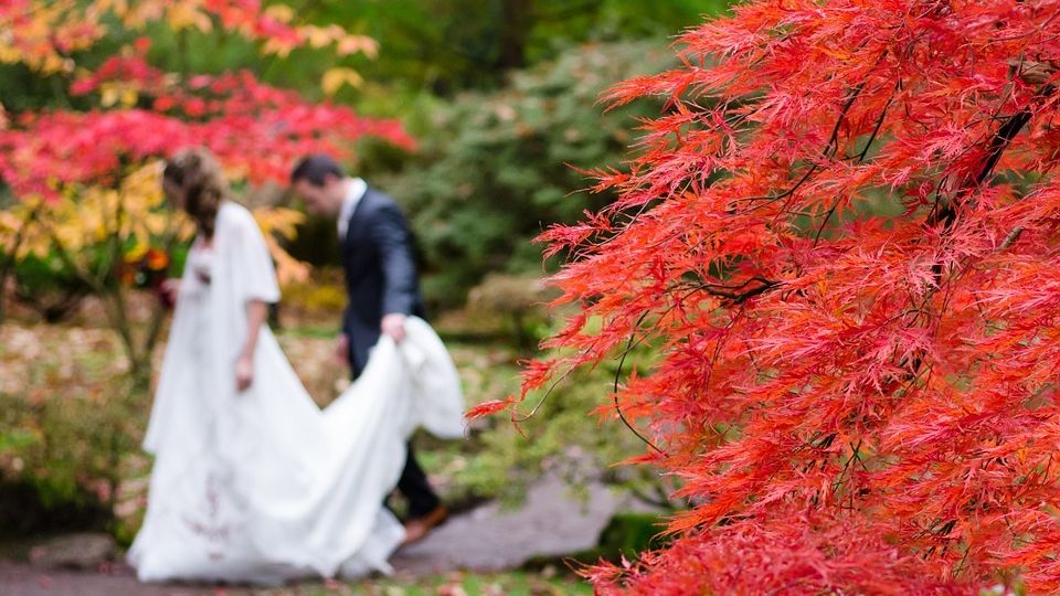 autumn wedding walk in the woods