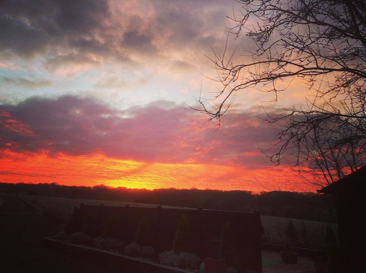 Sunset in Crondon Park