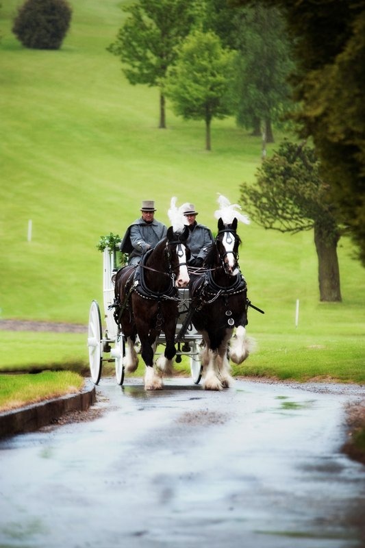 Horse and Carriage Arriving at Crondon Park
